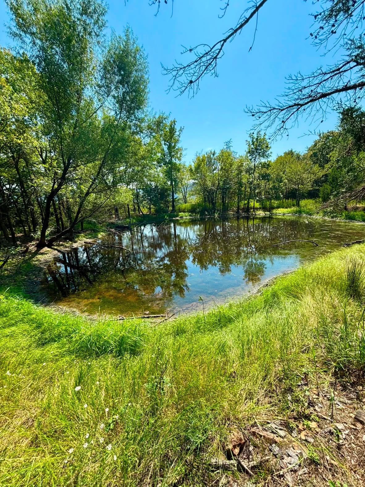 PONDS & SCENERY
