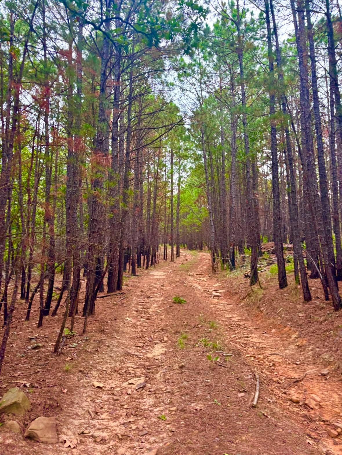 TRAILS & TERRAIN
