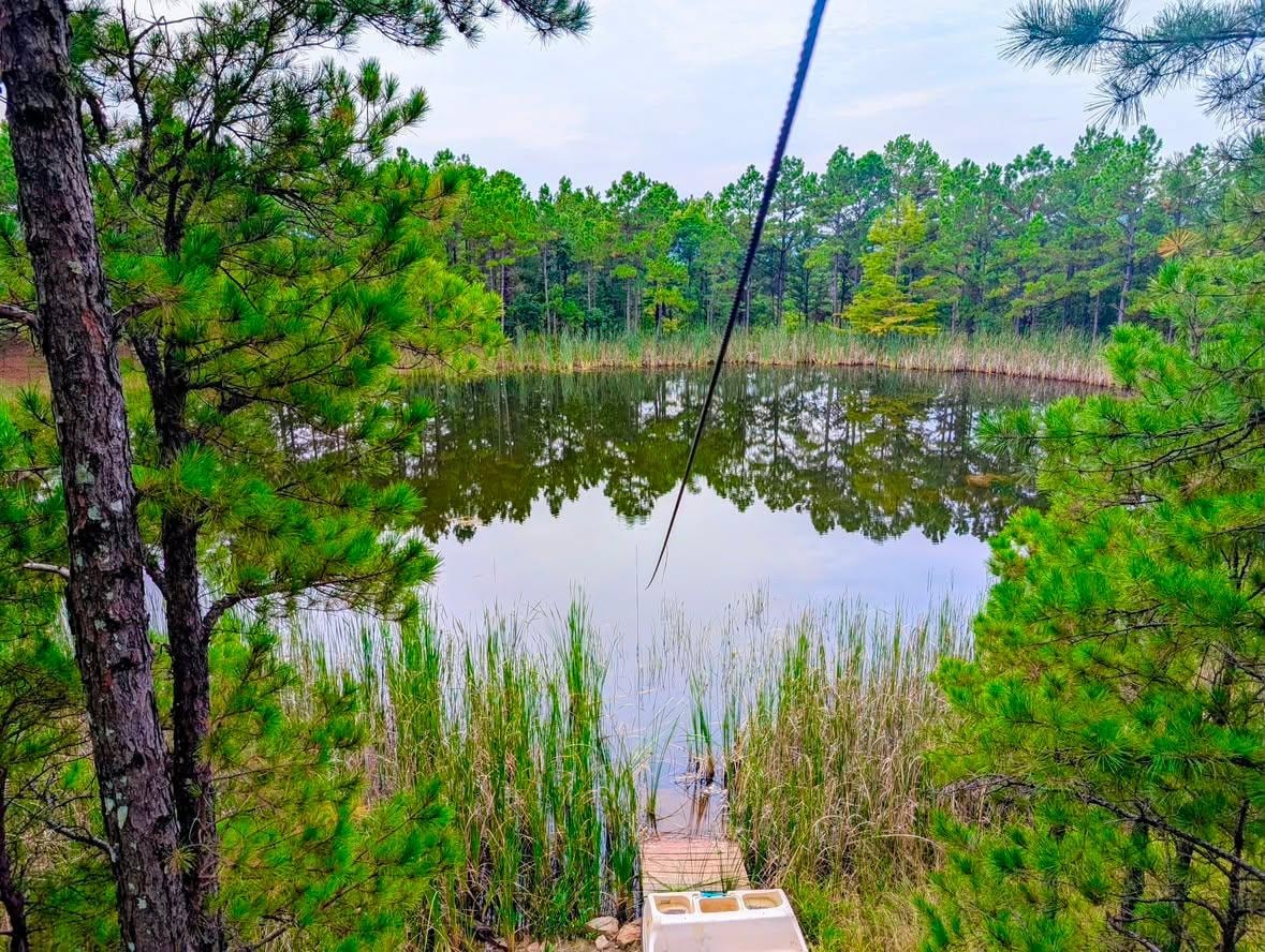 Fishing & Scenery